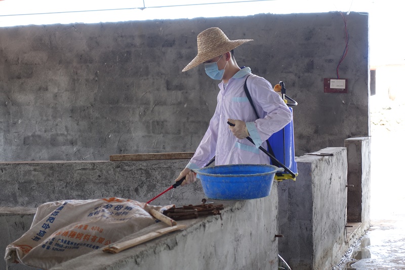 救災(zāi)技術(shù)服務(wù)隊(duì)隊(duì)員對豬場進(jìn)行防疫消毒(熱農(nóng)學(xué)院 葉朝錦攝影).JPG