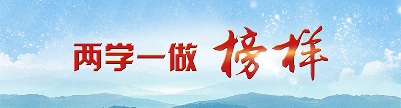 兩學(xué)一做·榜樣