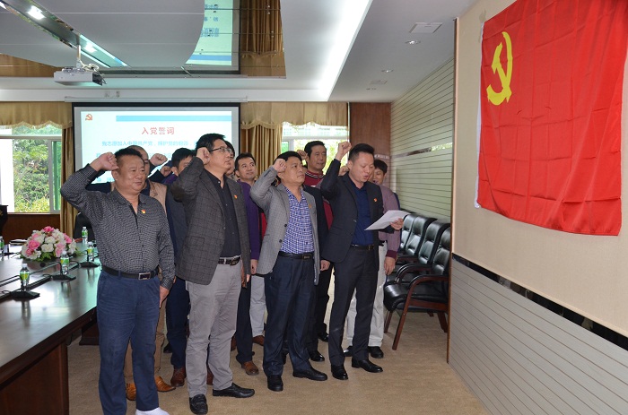 （重溫入黨誓詞現(xiàn)場 黨委宣傳部朱澤東攝影）.JPG